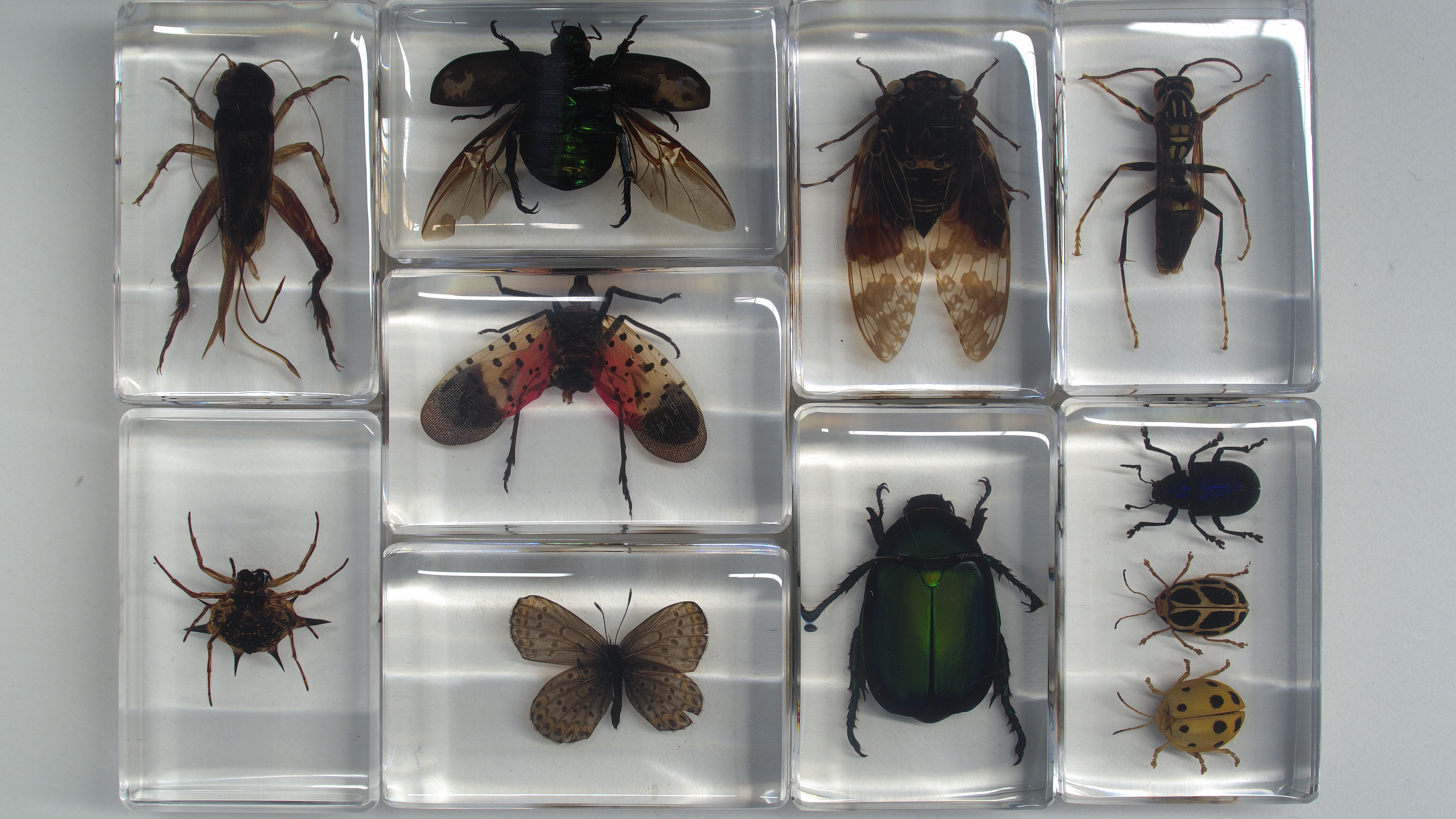 Scientific research/laboratory imaging Scientific research/laboratory imaging