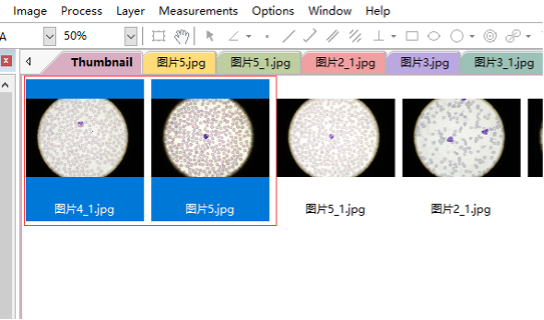 How to use Microsoft Word report function How to use Microsoft Word report function