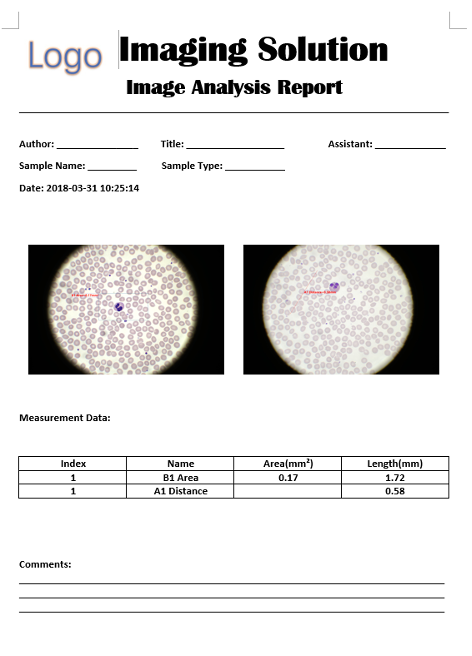 How to use Microsoft Word report function How to use Microsoft Word report function
