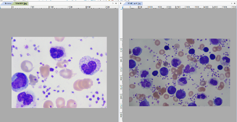 Can you compare images or videos in the software Can you compare images or videos in the software