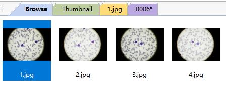 ToupTek Photonics ToupTek Photonics