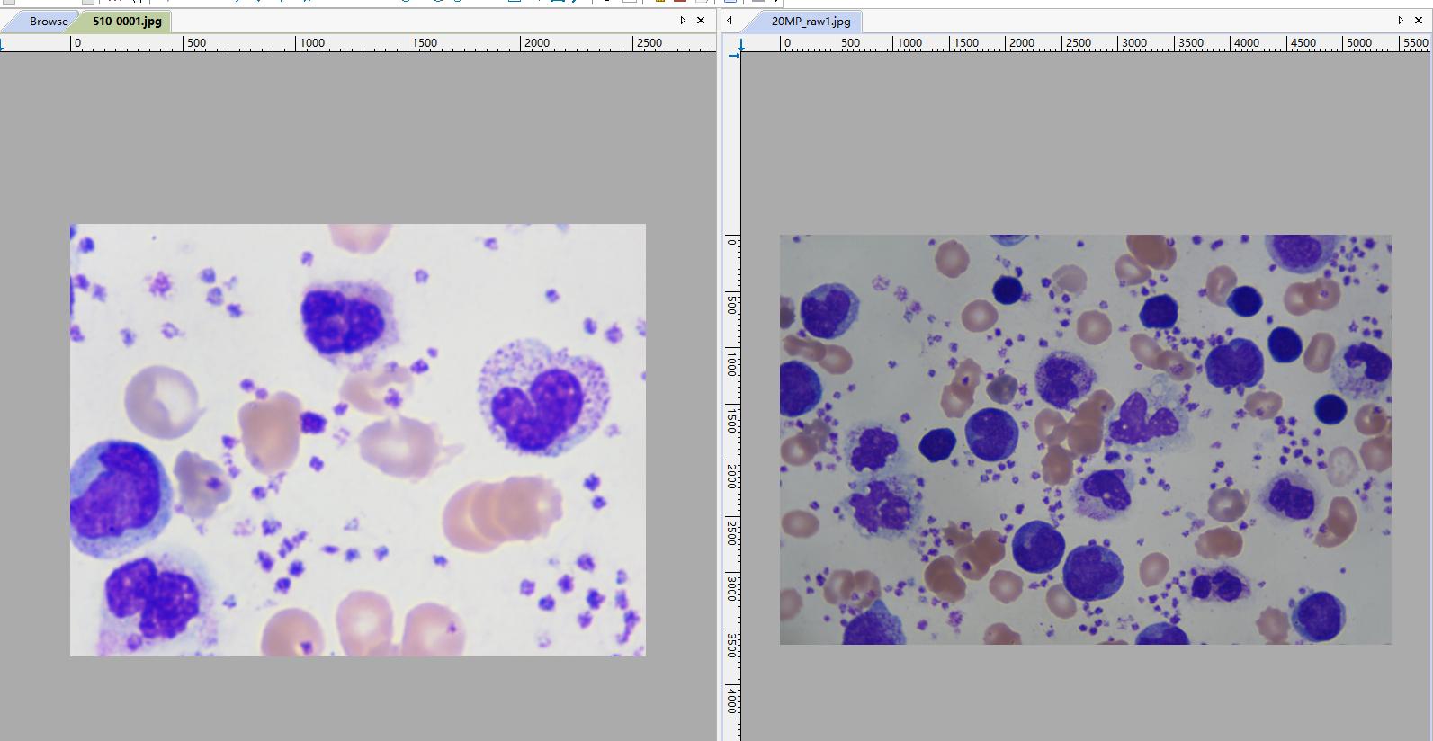 ToupTek Photonics ToupTek Photonics