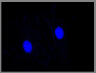 ToupTek Photonics ToupTek Photonics