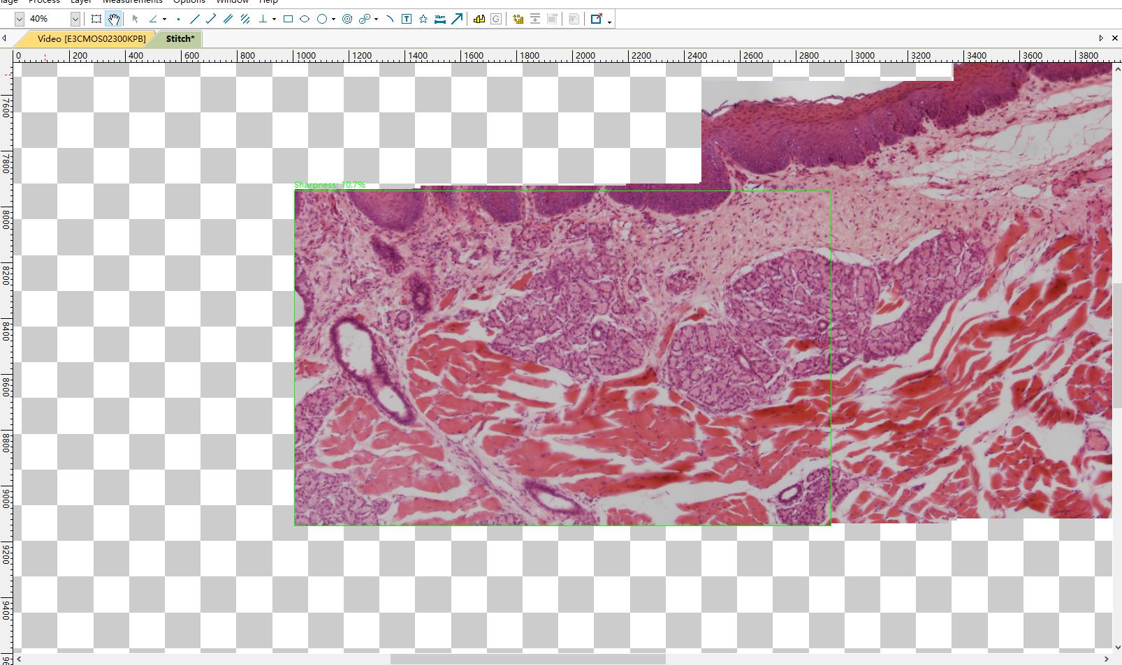 ToupTek Photonics ToupTek Photonics