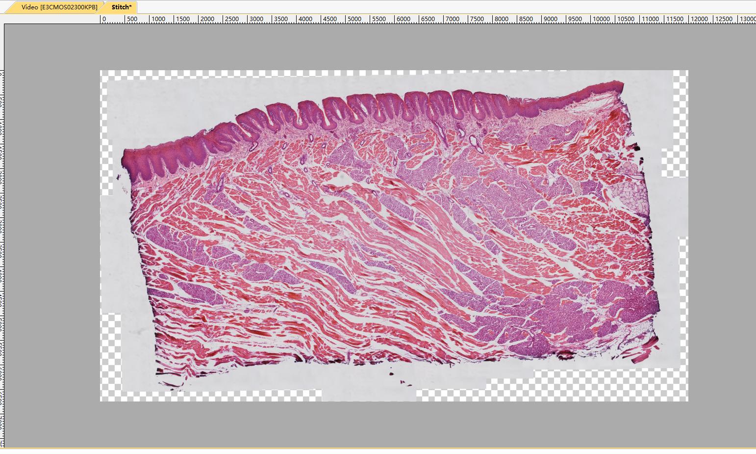 ToupTek Photonics ToupTek Photonics