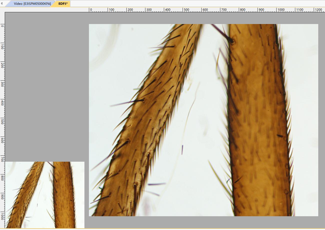 ToupTek Photonics ToupTek Photonics