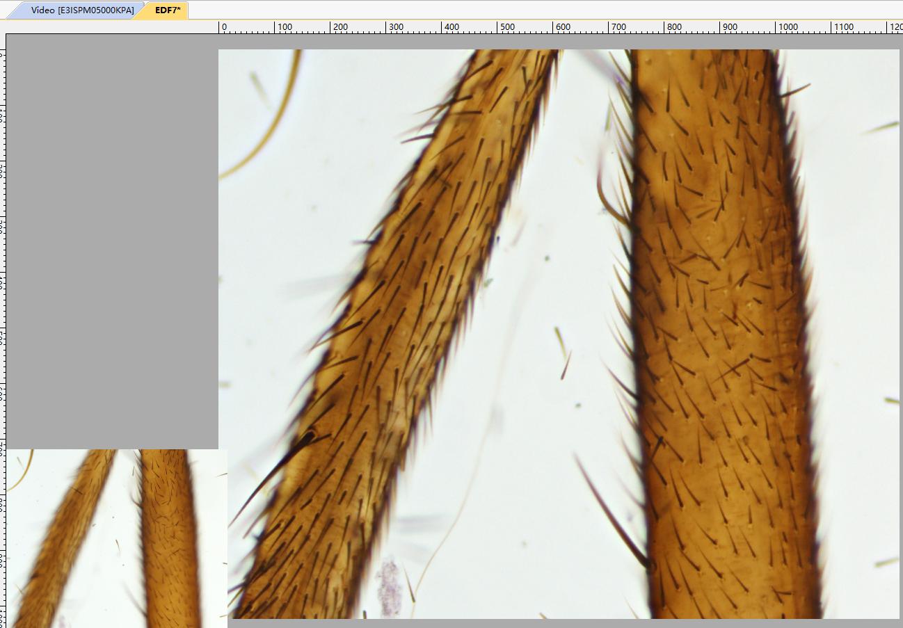 ToupTek Photonics ToupTek Photonics