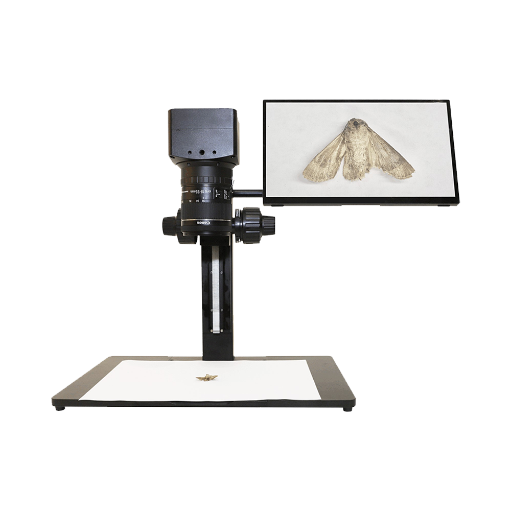 X7FCAM4K Series image 5