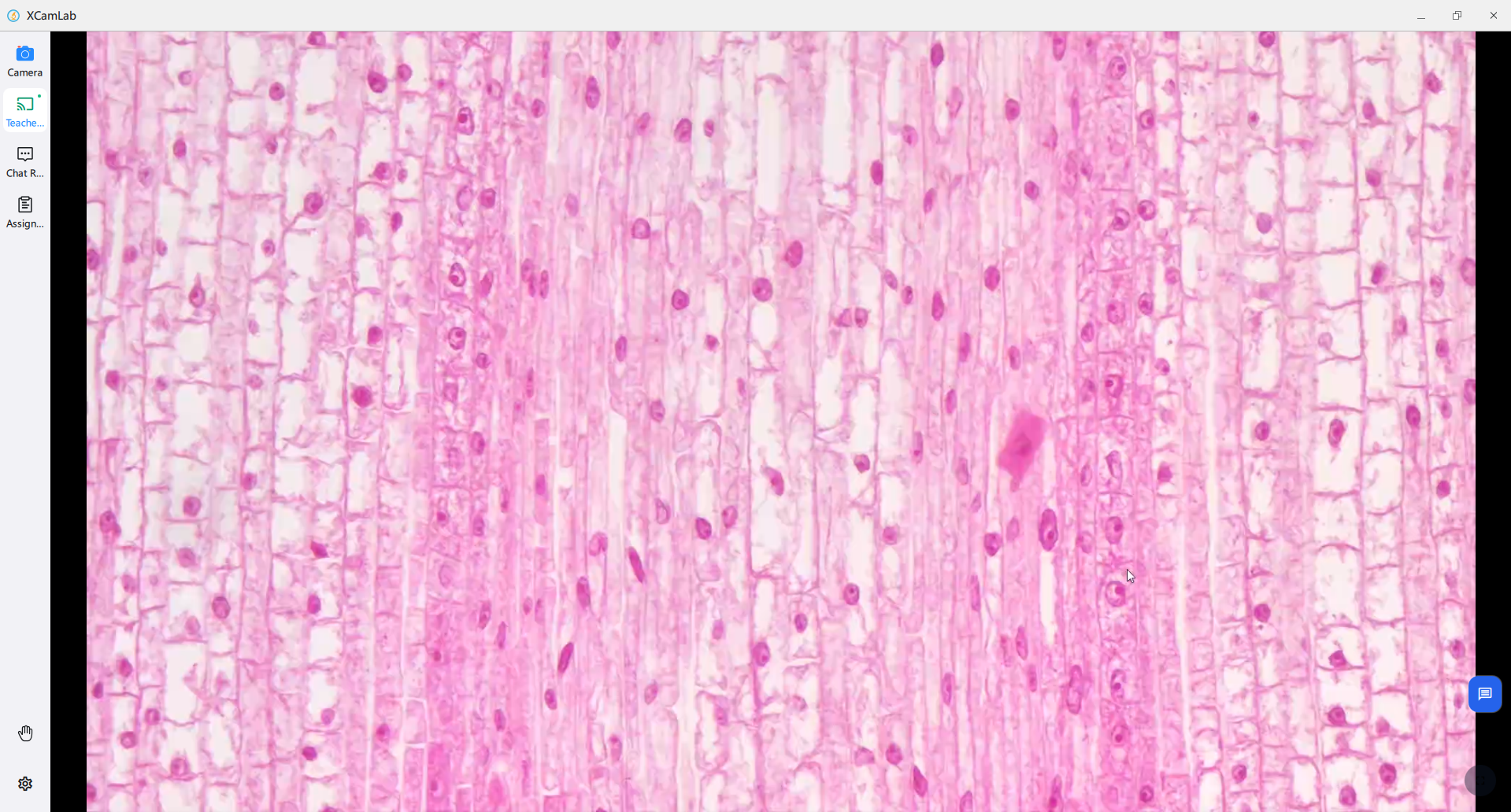 Diffusion