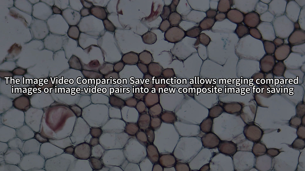 Image Comparison Save Function