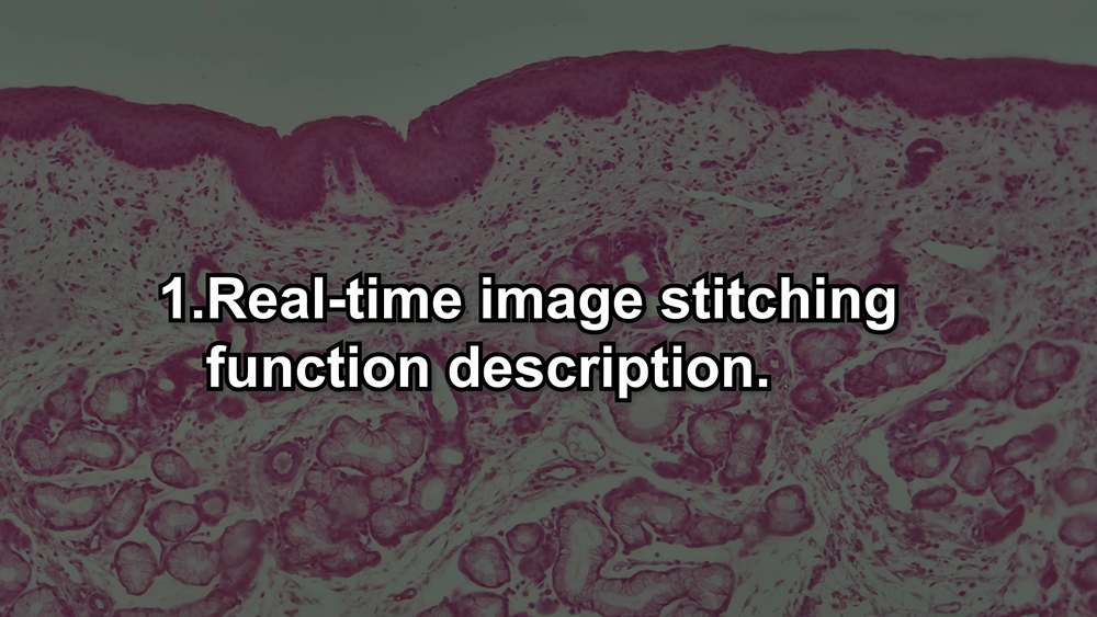 Real-time Stitching Function