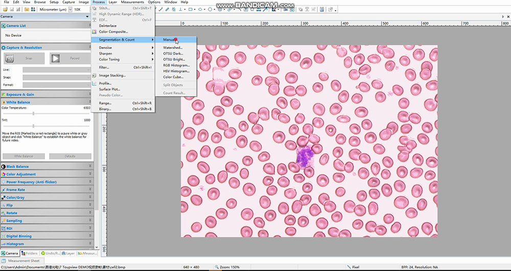 Manual Counting Operation Tutorial