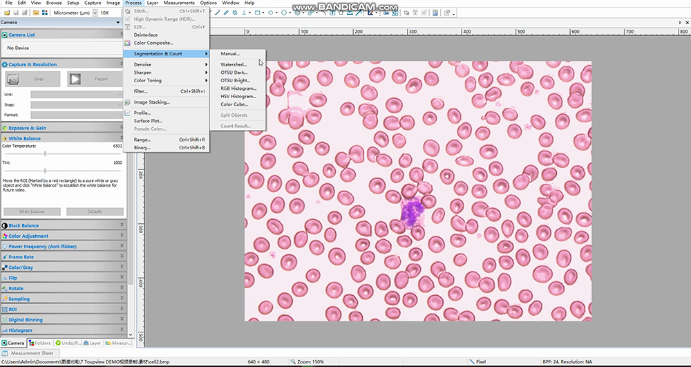 OTSU Automatic Segmentation Counting Tutorial