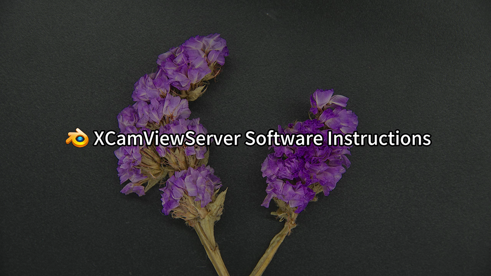 X8CAM Network Storage Function
